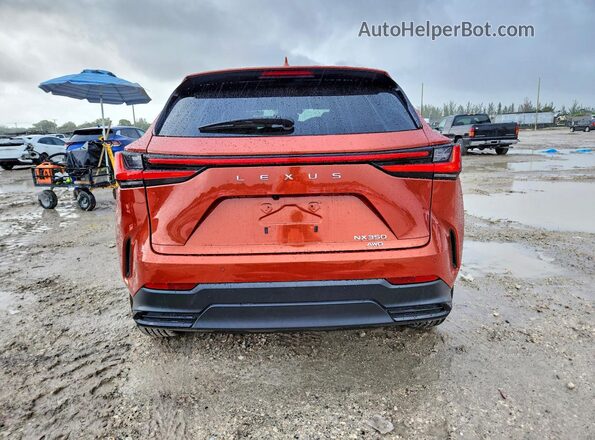 2T2GGCEZ8PC021712 2023 LEXUS NX Burgundy Հետևի տեսք