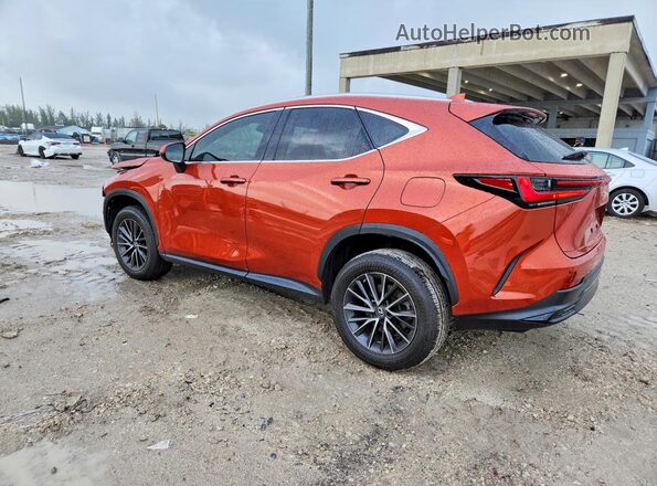 2T2GGCEZ8PC021712 2023 LEXUS NX Burgundy Հետևի ձախ