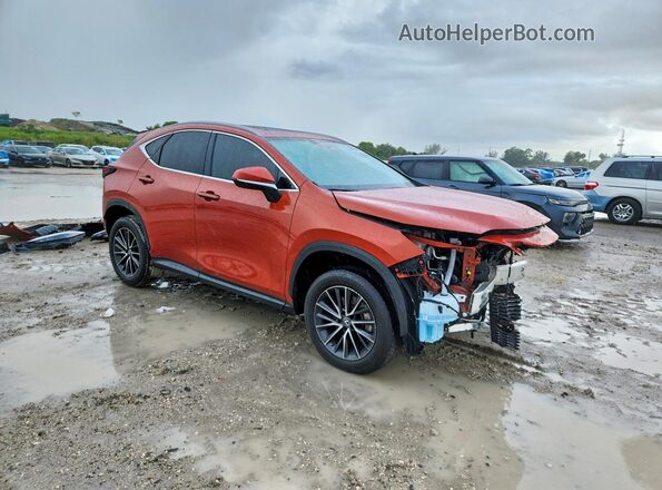 2T2GGCEZ8PC021712 2023 LEXUS NX Burgundy Առջևի աջ
