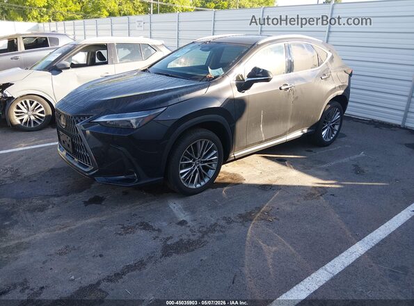 2T2GGCEZXSC072783 2025 LEXUS NX 350 Black Vista tres cuartos delantera izquierda