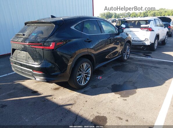 2T2GGCEZXSC072783 2025 LEXUS NX 350 Black Trasero derecho