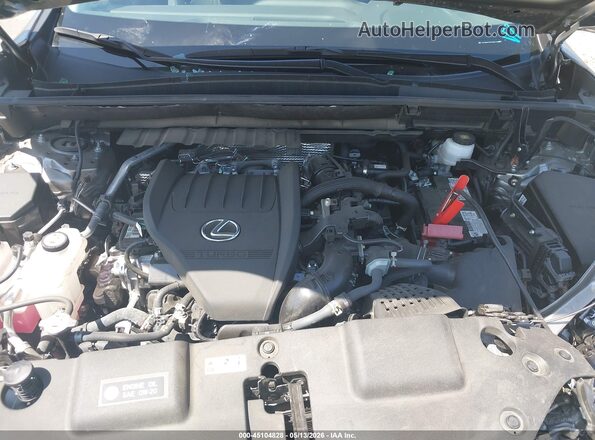 2T2GGCEZXSC086439 2025 LEXUS NX 350 Gray Հետևի տեսք