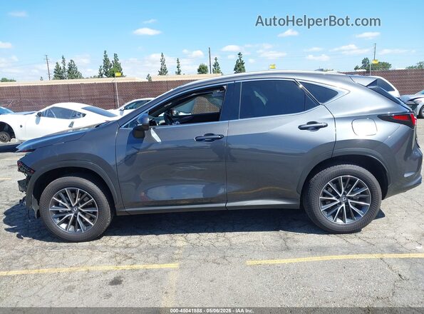 2T2GKCEZ0SC043243 2025 LEXUS NX 350H Gray Սալոնի 360 աստիճան տեսք