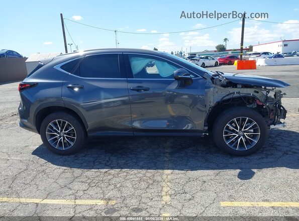 2T2GKCEZ0SC043243 2025 LEXUS NX 350H Gray Սալոնի հետևի տեսք