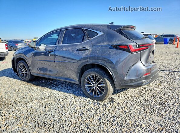 2T2GKCEZ1NC004911 2022 LEXUS NX Gray Հետևի ձախ