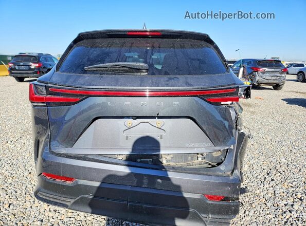 2T2GKCEZ1NC004911 2022 LEXUS NX Gray Հետևի տեսք