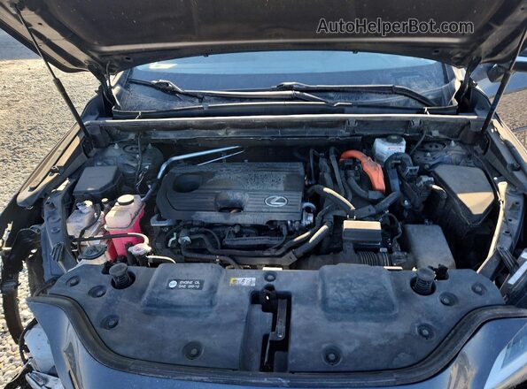 2T2GKCEZ1NC004911 2022 LEXUS NX Gray Շարժիչի բաժամունքի տեսք