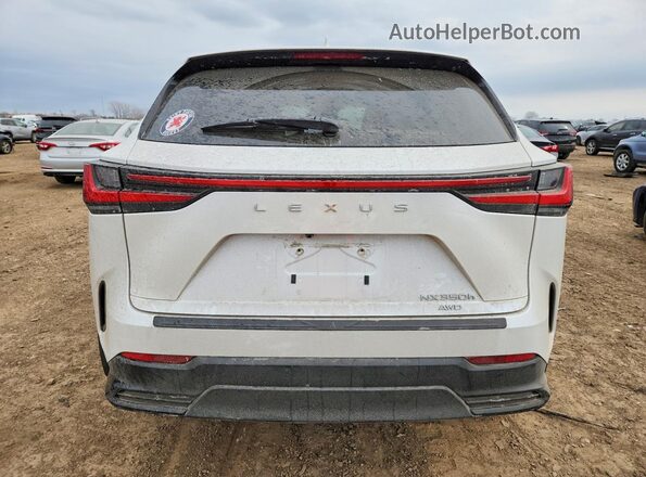 2T2GKCEZ2NC004898 2022 LEXUS NX White Widok z tyłu
