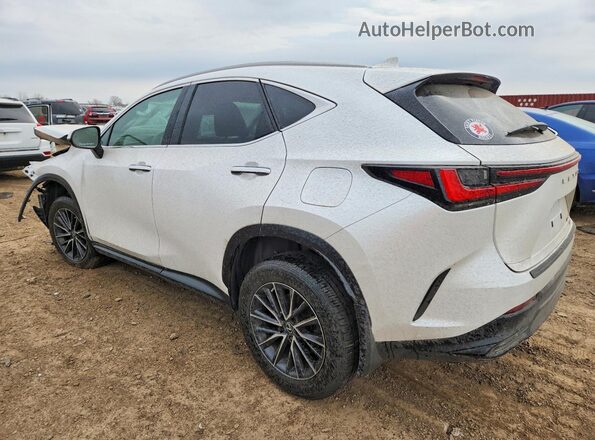 2T2GKCEZ2NC004898 2022 LEXUS NX White Tył lewy