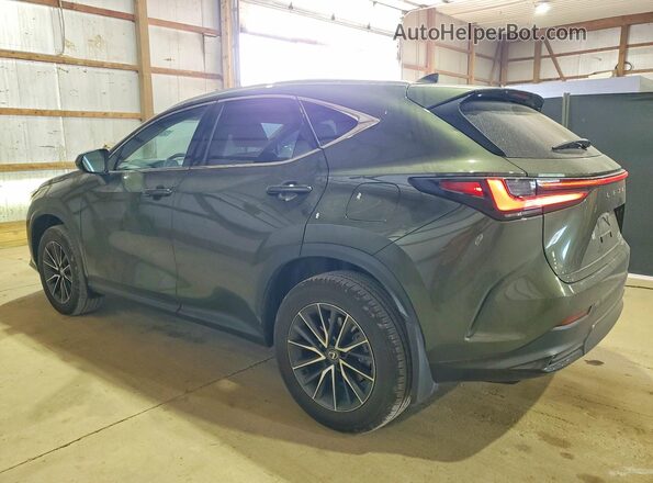 2T2GKCEZ5RC024794 2024 LEXUS NX Green უკანა მარცხენა