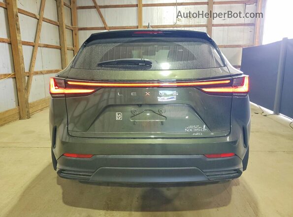 2T2GKCEZ5RC024794 2024 LEXUS NX Green უკანა ხედი