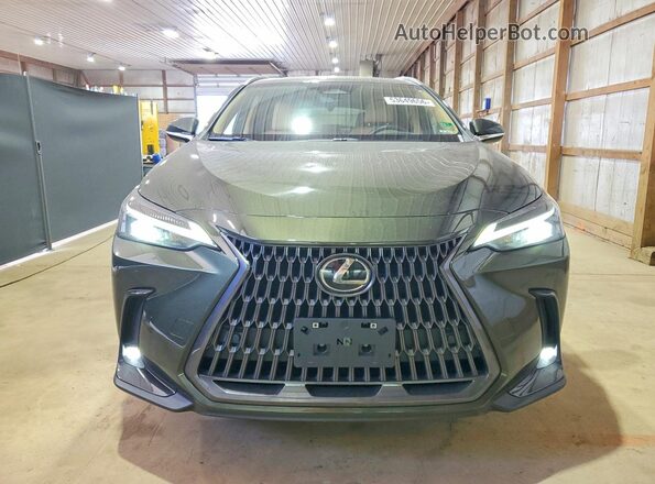 2T2GKCEZ5RC024794 2024 LEXUS NX Green წინა ხედი