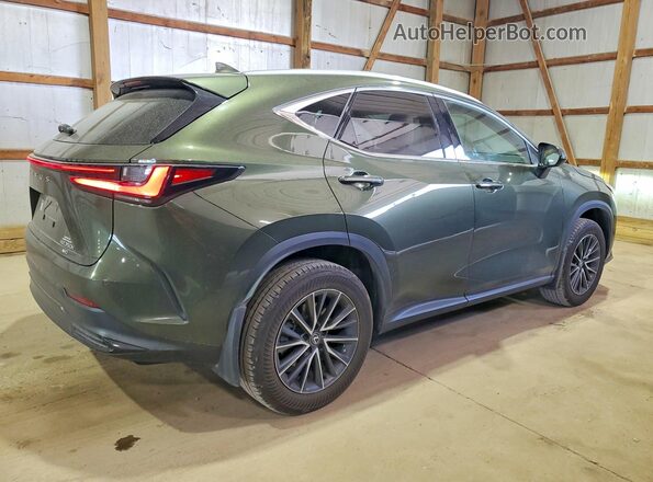 2T2GKCEZ5RC024794 2024 LEXUS NX Green უკანა მარჯვენა