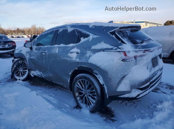 2T2GKCEZ6RC030202 2024 LEXUS NX Серебряный Задняя левая четверть