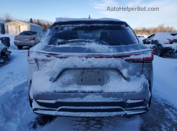 2T2GKCEZ6RC030202 2024 LEXUS NX Серебряный Вид сзади