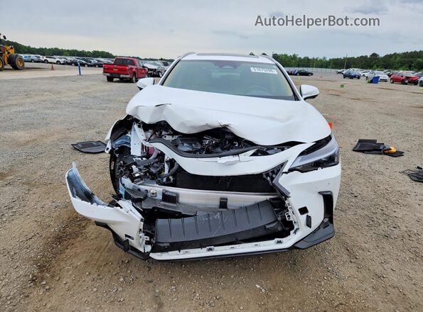 2T2GKCEZ7TC058646 2026 LEXUS NX White Դիմացի տեսք