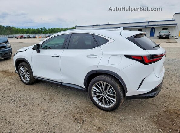 2T2GKCEZ7TC058646 2026 LEXUS NX White Հետևի ձախ