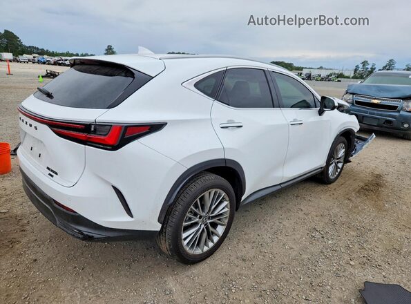 2T2GKCEZ7TC058646 2026 LEXUS NX White Հետևի աջ