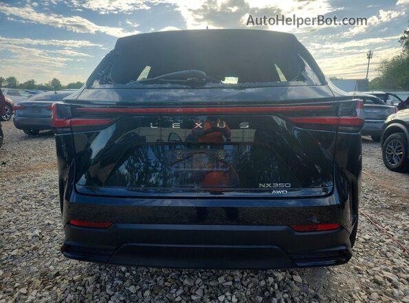2T2HGCEZ1RC033773 2024 LEXUS NX Черный 