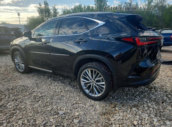 2T2HGCEZ1RC033773 2024 LEXUS NX Черный 