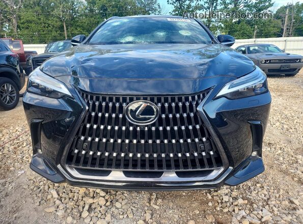 2T2HGCEZ1RC033773 2024 LEXUS NX Черный 