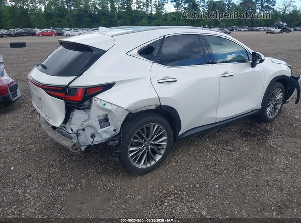 2T2HGCEZ8NC007195 2022 LEXUS NX 350 White უკანა მარჯვენა