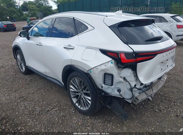 2T2HGCEZ8NC007195 2022 LEXUS NX 350 White უკანა მარცხენა