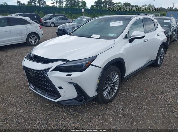 2T2HGCEZ8NC007195 2022 LEXUS NX 350 White წინა მარცხენა ხედი სამი მეოთხედიდან