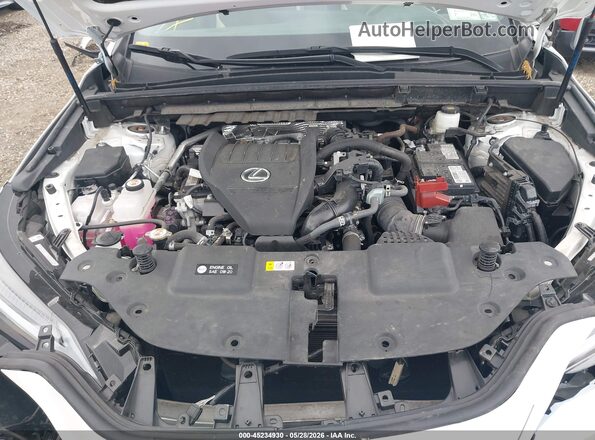 2T2HGCEZ8NC007195 2022 LEXUS NX 350 White უკანა ხედი