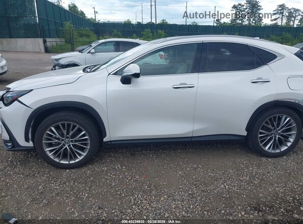 2T2HGCEZ8NC007195 2022 LEXUS NX 350 White სალონის 360-გრადუსიანი ხედი