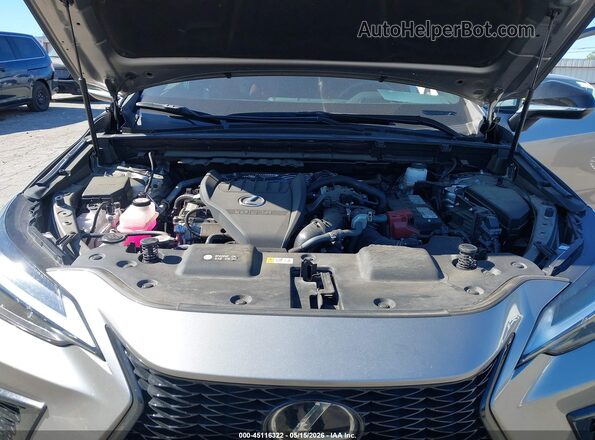 2T2KGCEZ0RC040610 2024 LEXUS NX 350 Gray Вид ззаду