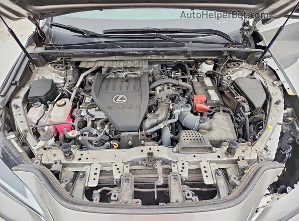 2T2KGCEZ1RC054970 2024 LEXUS NX Серебряный Вид задней части салона