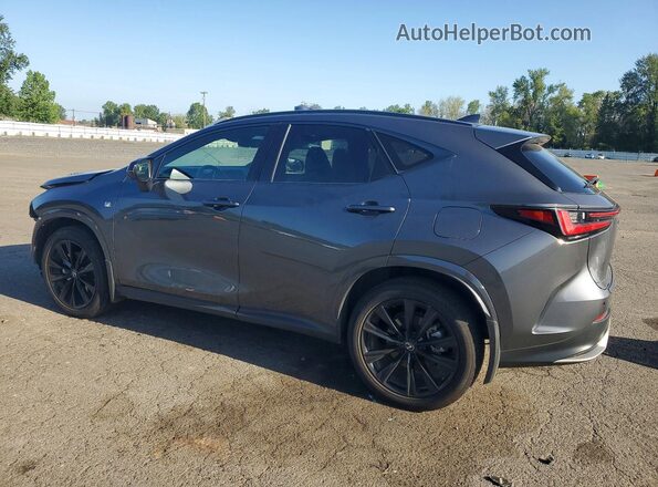 2T2KGCEZ3RC049608 2024 LEXUS NX Gray Задня ліва чверть