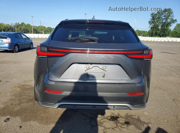 2T2KGCEZ3RC049608 2024 LEXUS NX Gray Вид ззаду