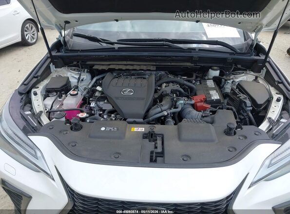 2T2KGCEZ4RC042330 2024 LEXUS NX 350 Белый Вид сзади