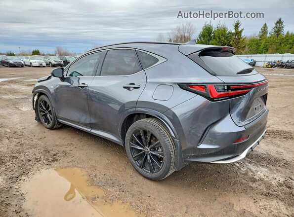 2T2KGCEZ6RC054463 2024 LEXUS NX Gray Tył lewy