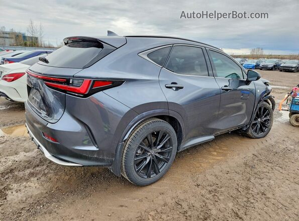 2T2KGCEZ6RC054463 2024 LEXUS NX Gray Tył prawy