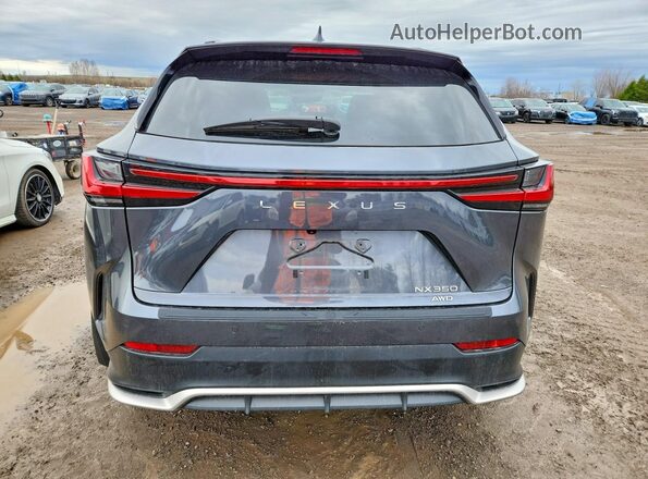 2T2KGCEZ6RC054463 2024 LEXUS NX Gray Widok z tyłu
