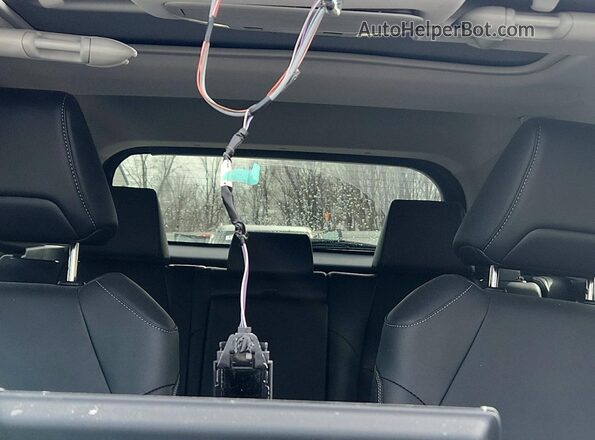2T3A1RFV0RW445081 2024 TOYOTA RAV4 Blue Rear seats view