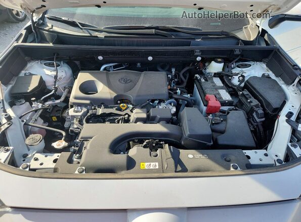 2T3A1RFVXSW503042 2025 TOYOTA LE White Widok wnętrza z tyłu