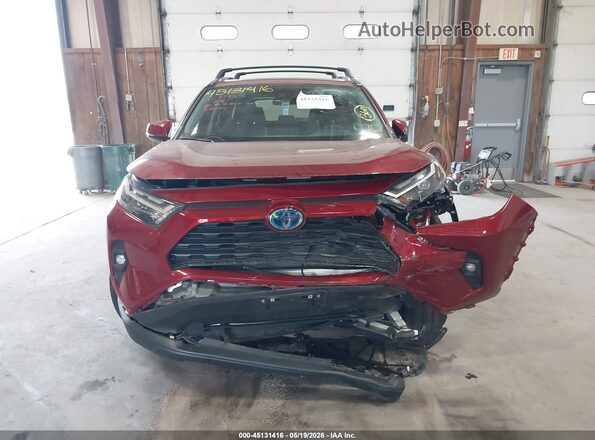 2T3B6RFV5RW066695 2024 TOYOTA RAV4 HYBRID Red Widok z przodu