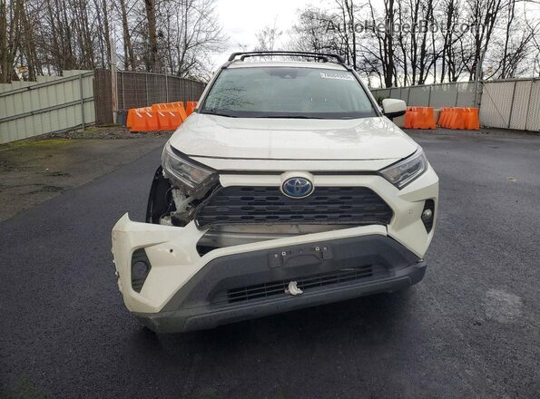 2T3B6RFV9MW029125 2021 TOYOTA RAV4 Белый Вид спереди