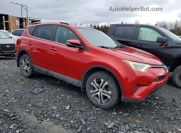 2T3BFREV3GW506136 2016 TOYOTA RAV4 Красный 