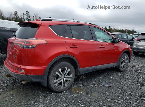 2T3BFREV3GW506136 2016 TOYOTA RAV4 Красный 