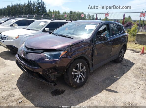 2T3BFREV4HW664955 2017 TOYOTA RAV4 Purple 
