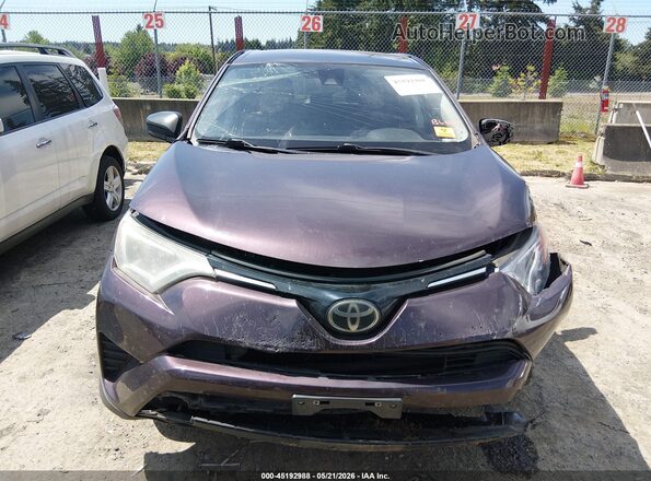 2T3BFREV4HW664955 2017 TOYOTA RAV4 Purple 