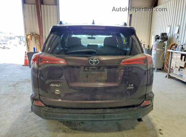 2T3BFREV5GW495642 2016 TOYOTA LE Purple Widok z tyłu