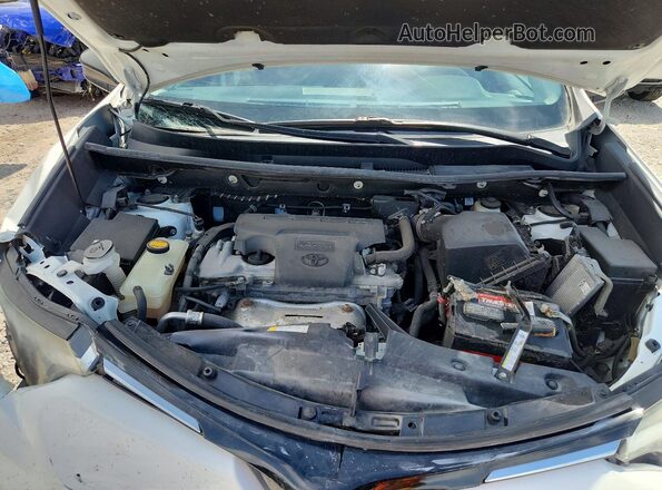 2T3BFREV8JW779189 2018 TOYOTA RAV4 White 