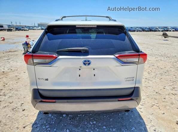 2T3D6RFV8MW025883 2021 TOYOTA RAV4 Белый Вид сзади