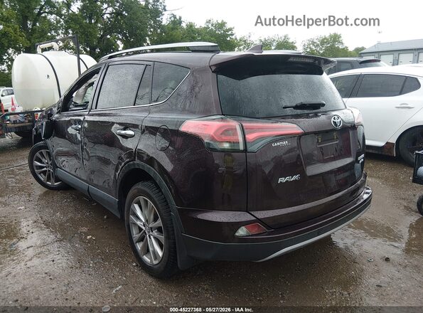 2T3DFREV4HW650403 2017 TOYOTA RAV4 Maroon Հետևի ձախ